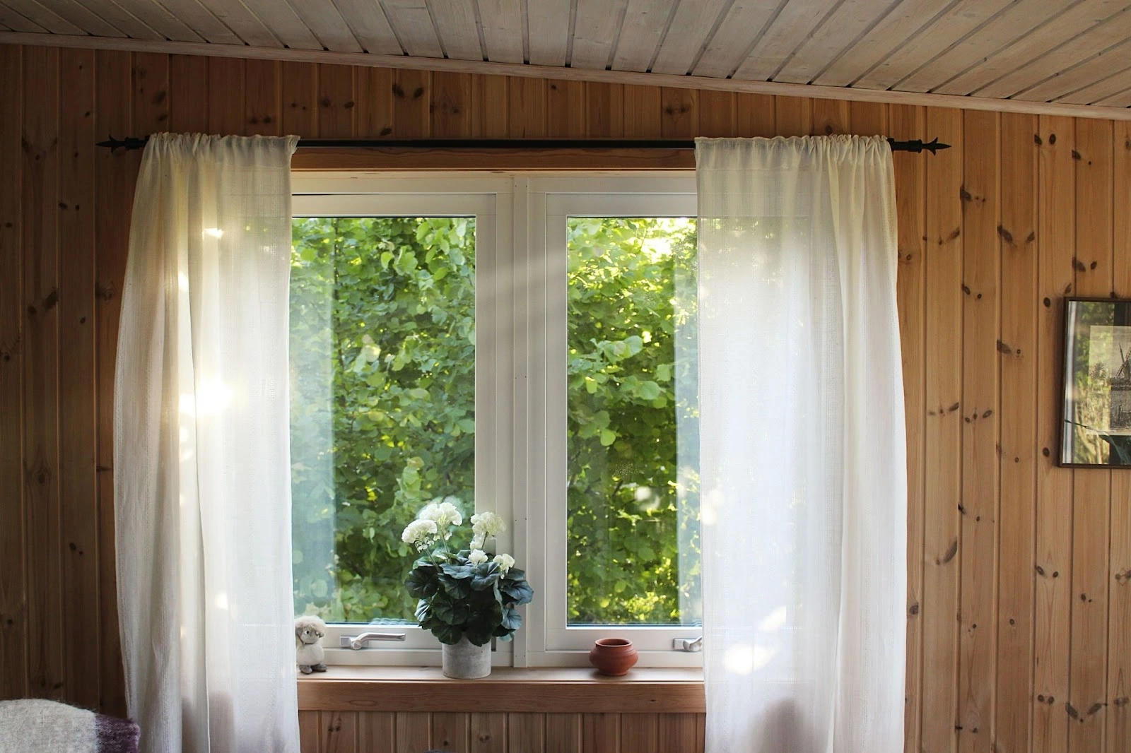 Window with sheer curtains, potted flowers, and green trees outside.