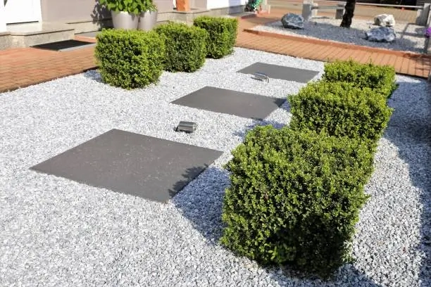 Modern garden with neatly trimmed boxwood shrubs arranged alongside large flat stepping stones on a bed of white gravel, creating a minimalist landscape design.