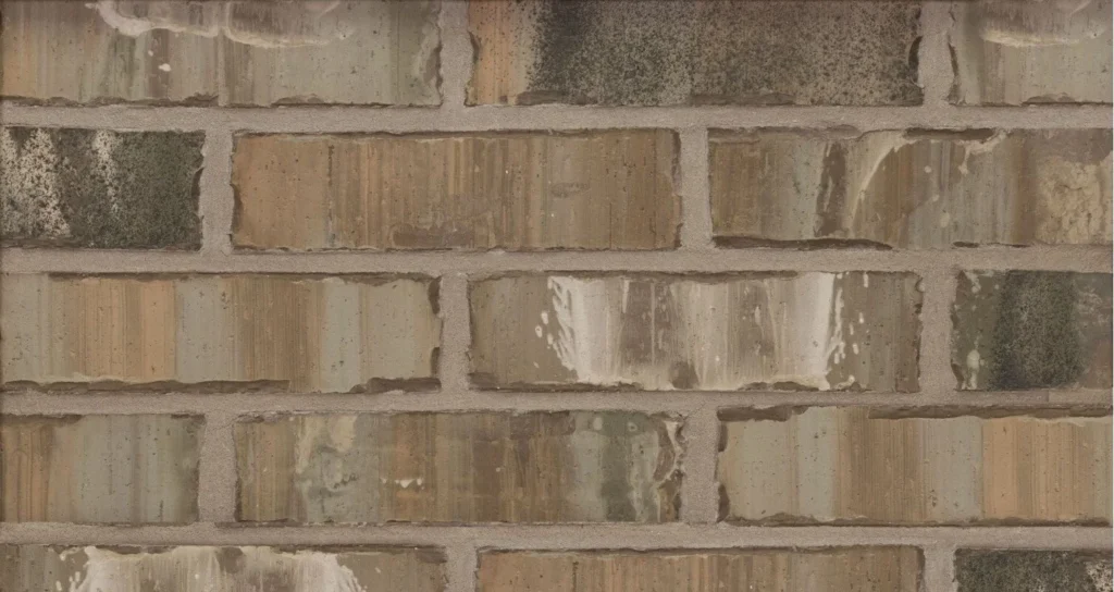 COUNTRY_CLUB-2868498