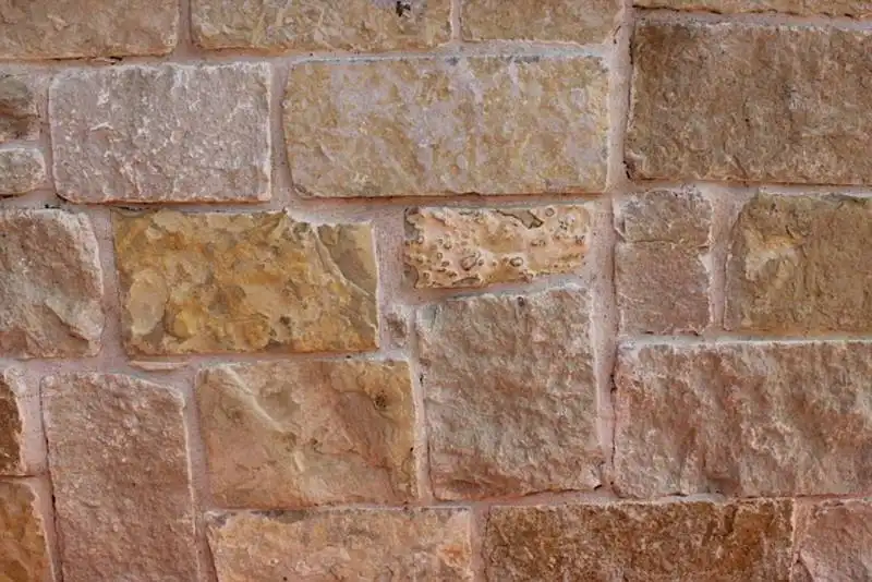 Almendra-Blend-800x534