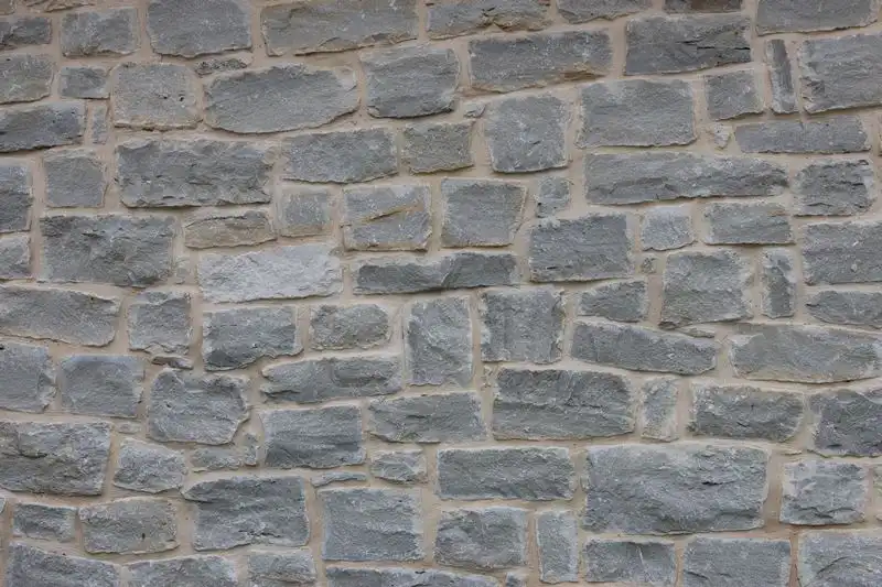 GRANBURY-BLUEBERRY-CHOP