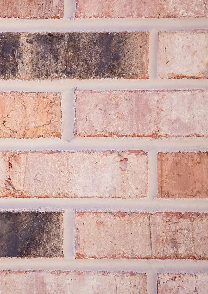 seeley_town_web_image_0