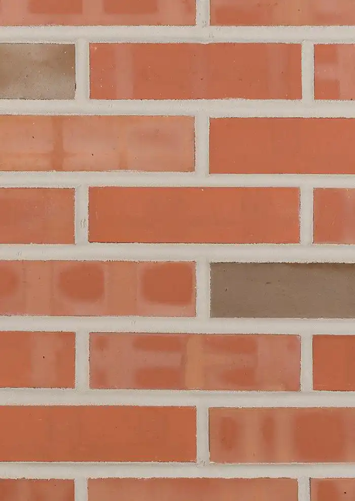 texas_flashed_common_web_image_0